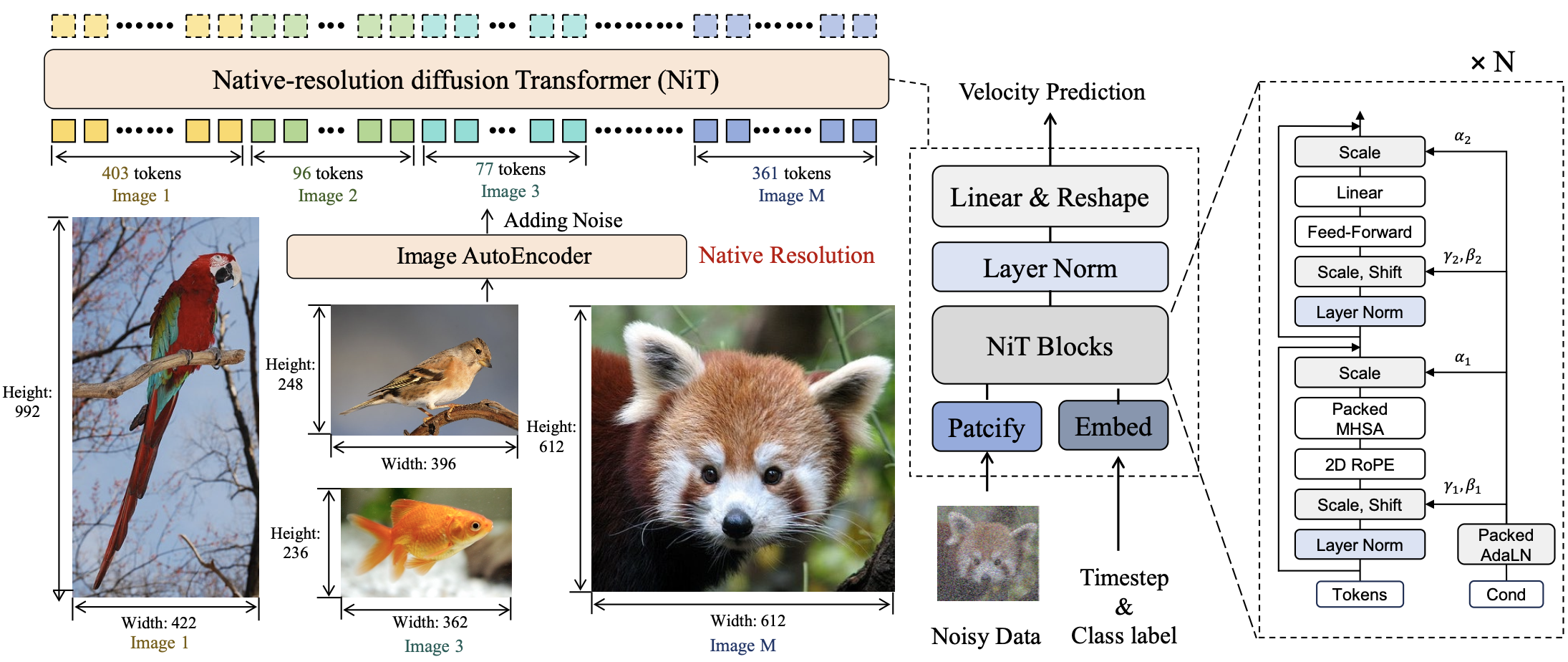 Synthetic Data Generation